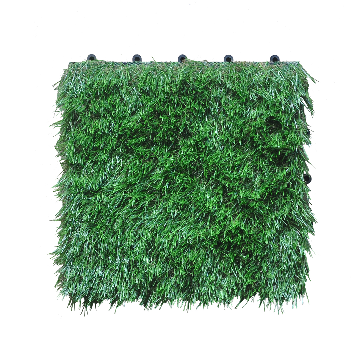 Grass20old.jpg